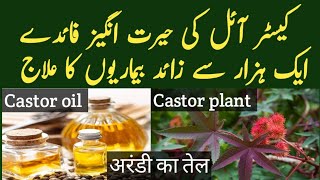 Castor Oil The Ancient Remedy That Cures Everything [upl. by Akamaozu939]