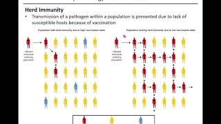 Virology Chapter 5 Part 3 of 3 [upl. by Nnylkcaj]