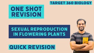 Sexual Reproduction in Flowering Plants  One shot Quick Revision [upl. by Lasko652]