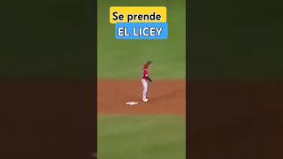 Tigres de licey rebelión licey liceycampeon baseball ESPAÑA DEPORTES [upl. by Nylehtak434]