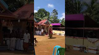 Kaliyattam Nileswaram പട്ടേന ശ്രീ മുങ്ങത്ത് ഭഗവതി ക്ഷേത്രംtheyyam kaliyattam theyyam [upl. by Adnesor]