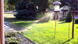 Orbit 55015  Zinc Impact Rotor Sprinkler [upl. by Pufahl]