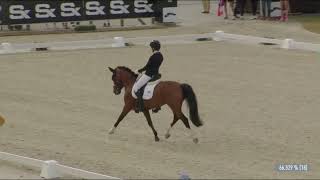 Lucie Kodytková BELAGIO HS  Team Test CH EU  FEI Dressage European Championship for P J amp Ch [upl. by Atilrac]