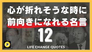 【心に響く名言集】世界の偉人たちの逆境を乗り越える名言12選  人生を変える言葉たち [upl. by Ttennaej219]