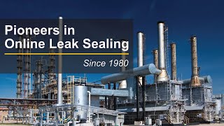 ONLINE LEAK SEALING Procedure amp Technology Explained [upl. by Anne-Corinne]