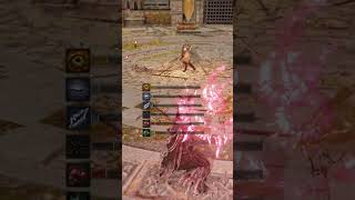 Elden Ring PVP Priestess Heart Dragon Transformation Is Amazing When Using Dragon Incantations [upl. by Anatsirhc]