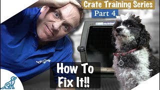 Crate Training Isnt Working  Crate Training Part 4  Professional Dog Training Tips [upl. by Ive]