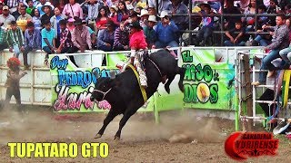 SON UNOS TORAZOS ESTOS EJEMPLARES ¡ Ganaderia La Yurirense en Tupataro Gto 2018 [upl. by Tillion]