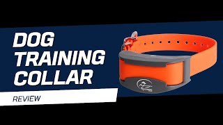 SportDOG Brand Dog Training Collar  Review [upl. by Rehteh]