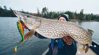 How To CATCH CLEAN and COOK Northern Pike Ice Out Ontario Pike [upl. by Leler]