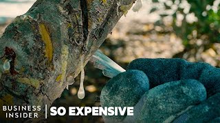 Why Mastic Tree Resin Is So Expensive  So Expensive [upl. by Ennairod834]