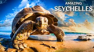 Stunning Seychelles Islands  Top 10 Places To Visit In Seychelles [upl. by Assyli792]