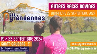 Les Pyrénéennes 2024  Ring 1  Autres races bovines  22092024 [upl. by Liba653]