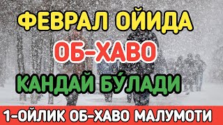 УЗБЕКИСТОНДА ФЕВРАЛ ОЙИДА ОБХАВО КАНДАЙ БУ́ЛАДИ  FEVRAL OYIDA OBHAVO QANDAY BOLADI [upl. by Eladroc]