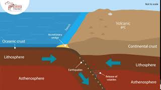 Convergence oceanic and continental crust [upl. by Alysia]