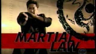 Best Television Themes Martial Law [upl. by Lehcnom]