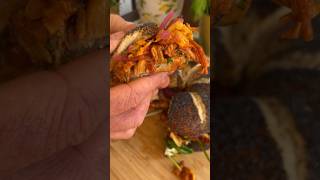 Pulled Chicken Sliders 🍗🌪️ food cooking viral trending chicken sandwich [upl. by Eillah]