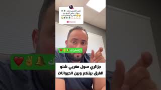 جزائري سول مغربي قاليه ما الفرق بين المغاربة و الحيوانات فكان الرد أسطوريًا تابع الفيدوا 🥺😂😂 [upl. by Ode]