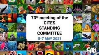 73rd Meeting of the CITES Standing Committee Session 3 May 7 [upl. by Brok769]