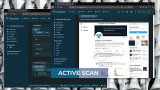 DEMO Passive and Active Scanning [upl. by Auka571]