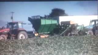 Beet harvester Armer salmon st3 [upl. by Maccarone525]