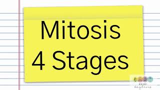 Leaving Cert Biology MitosisBasic Summary [upl. by Agarhs]