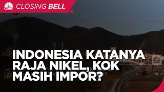 Jadi Raja Nikel Tapi Indonesia Impor Bijih Nikel Kok Bisa [upl. by Krucik791]