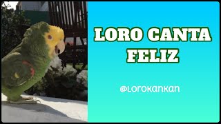 ¡LORO CANTA HERMOSO [upl. by Ilarin]