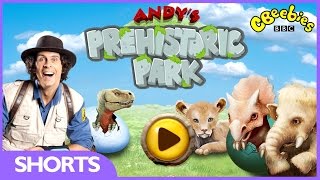 CBeebies Games  Andys Prehistoric Park [upl. by Anawahs]