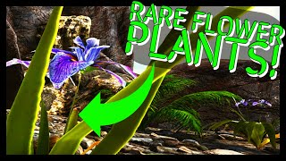 LOST ISLAND RARE FLOWERS PLANT [upl. by Nora]