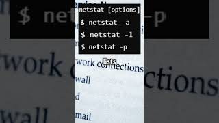 Master the netstat Command 🌐  Linux Networking Basics [upl. by Farro606]