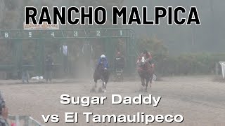 Sugar Daddy vs El Tamaulipeco [upl. by Rora]