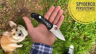 Нож Spyderco Persistence Lightweight VS Tenacious обзор сравнение [upl. by Avon]