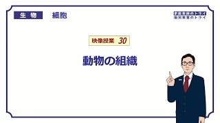 【高校生物】 細胞30 動物の組織（１７分） [upl. by Awhsoj]