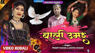 Adivasi rodali  बाली उमर new rodali song 2024 Rodali [upl. by Seigler]