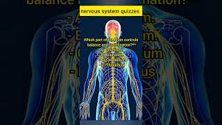 Central nervous system quizzes [upl. by Rebel]