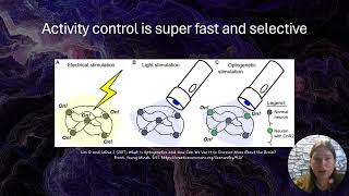 MnDRIVE Optogenetics and Neuromodulation Research Core [upl. by Htebesile]