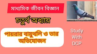 পায়রার বায়ুথলির অভিযোজনগত গুরুত্ব। মাধ্যমিক জীবন বিজ্ঞান। চতুর্থ অধ্যায় [upl. by Cuda353]