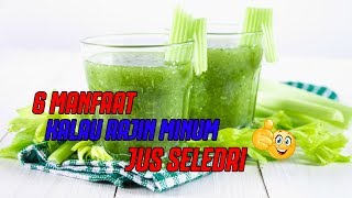 6 MANFAAT KALAU RAJIN MINUM JUS SELEDRI 👍 [upl. by Nappie]