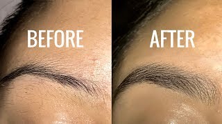 How To Grow Your Eyebrows [upl. by Edals]