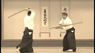 Nishio Aikido Ryu  Shomenuchi Gokyo [upl. by Enrika580]