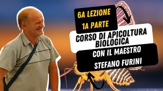 17  CORSO DI APICOLTURA BIOLOGICA  Asphodel Honey  con il maestro Stefano Furini Lezione 6 Parte1 [upl. by Lacefield4]