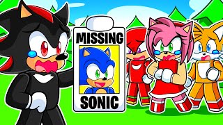 SONIC is MISSING in Roblox [upl. by Julie924]