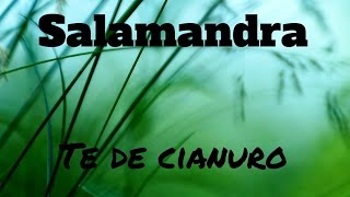 Salamandra  Te de cianuro Letra [upl. by Saturday]