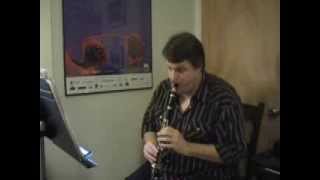 Beethoven Symphony No 6 third movement clarinet solo [upl. by Akimad342]