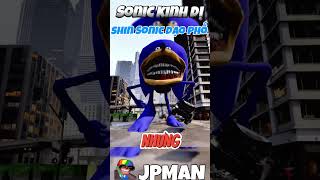 Nhím Shin Sonic Đi Dạo Phố jpman shinsonic sonictapes [upl. by Ames]