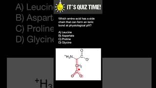 Which amino acid has a side chain that can form an ionic bond at physiological pH [upl. by Sirad]