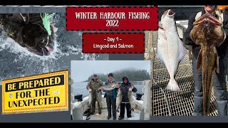 Winter Harbour Fishing 2022  Day 1  Lingcod and Salmon [upl. by Sivram]