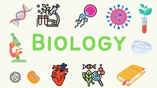 6 A level Biology  Immunity Part 1 🦠 [upl. by Rolanda]