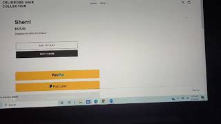 How to add Smart PayPal Buttons that accepts credit and debit card to your Online Shopify Store [upl. by Aihsit20]